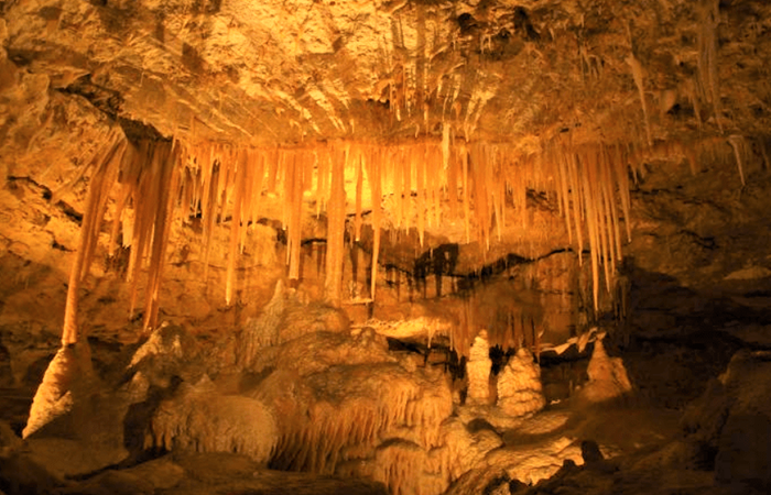 Baratang Limestone Cave Trip gallery image 2