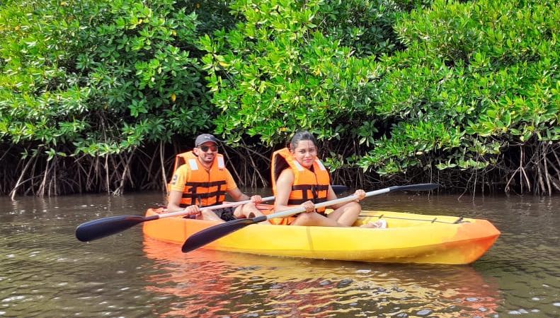 Mangrove Kayaking Adventure main view