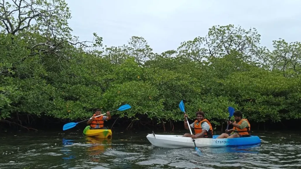 Mangrove Kayaking Adventure gallery image 4