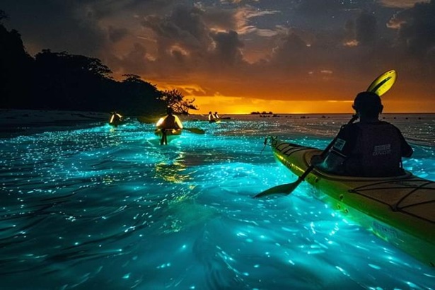 Havelock Bioluminescence Kayaking 2