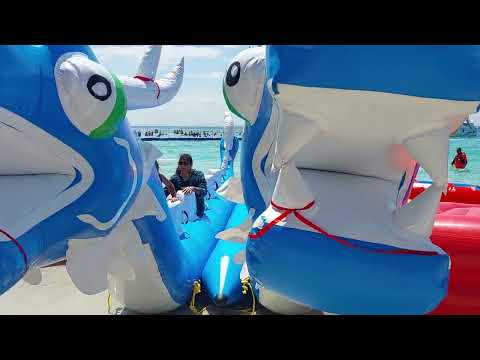 Dragon Ride at Havelock