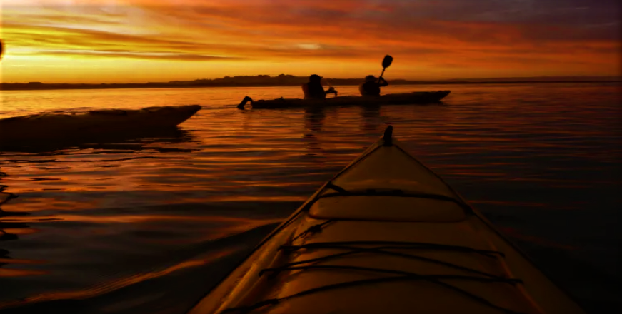 Havelock Sunset Kayaking 2