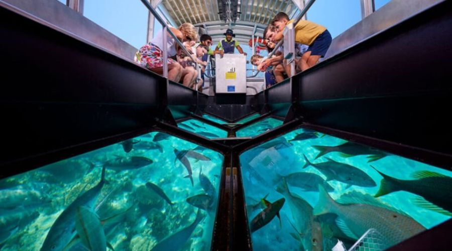 Glass Bottom Boat at Havelock