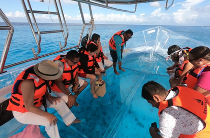Glass Bottom Boat at Havelock