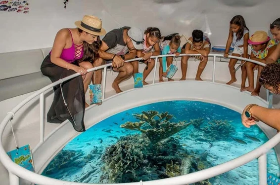 Dolphin Glass Bottom at Havelock