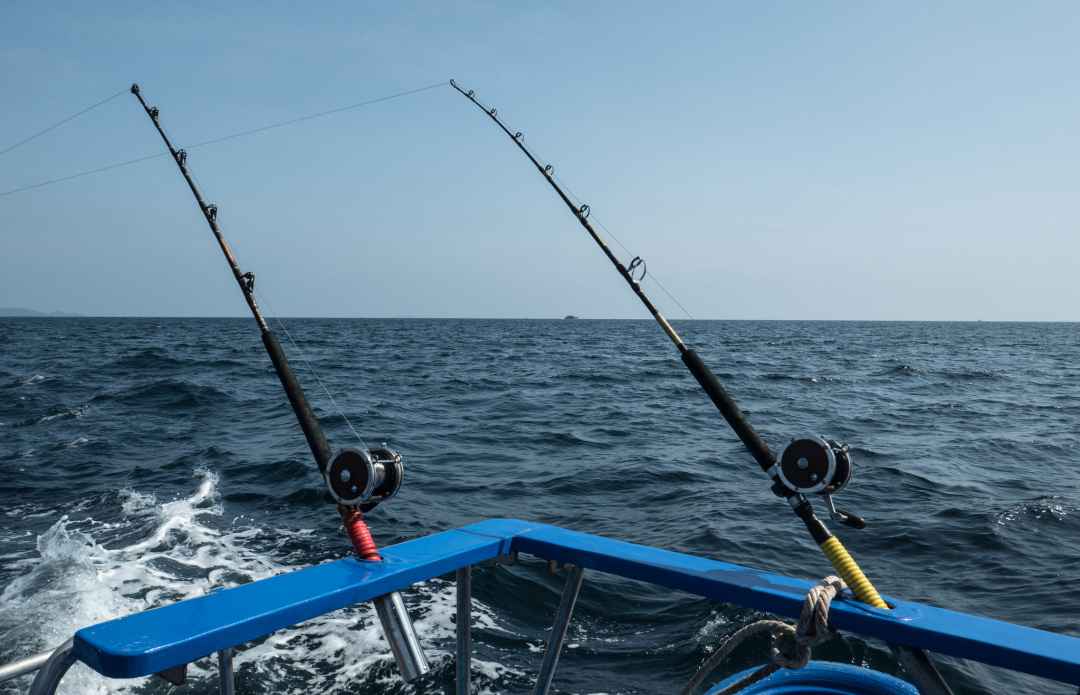 Game Fishing Half Day 4