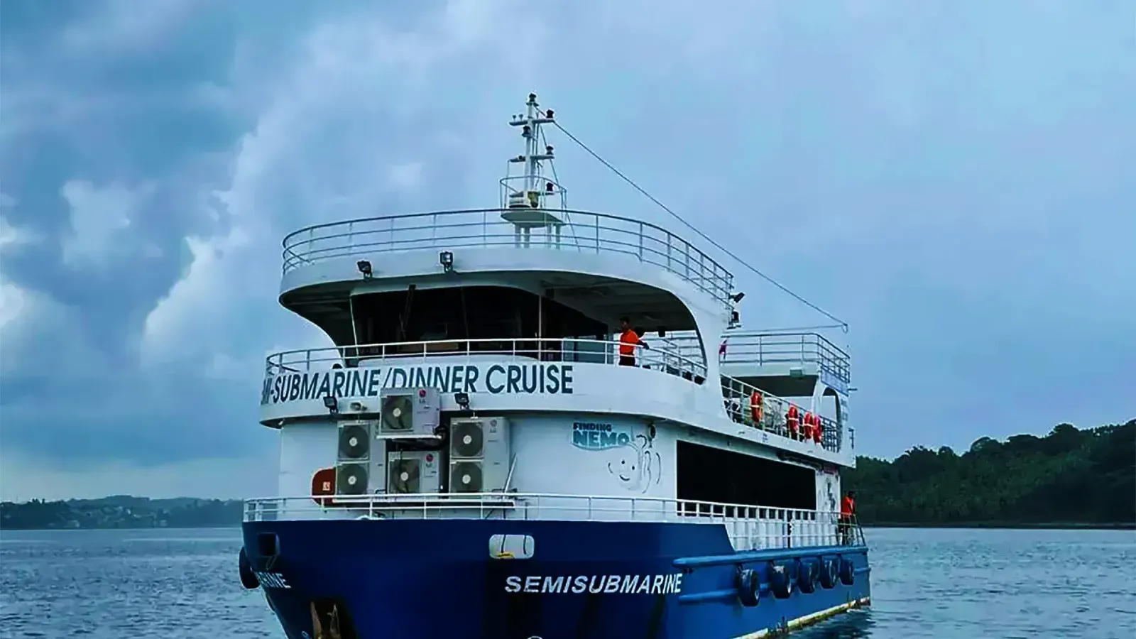 Elephant Beach Luxury Cruise with Glass-Bottom Coral Safari