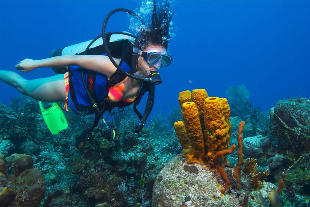 Scuba Diving in Andaman: Havelock Shore Dive, Boat Dive, Sites and Safety