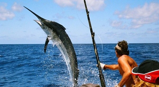 Game Fishing in Andaman: Havelock Deep Sea Adventure Guide