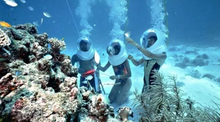 Sea Walk in Andaman: Havelock and North Bay Underwater Walking Guide
