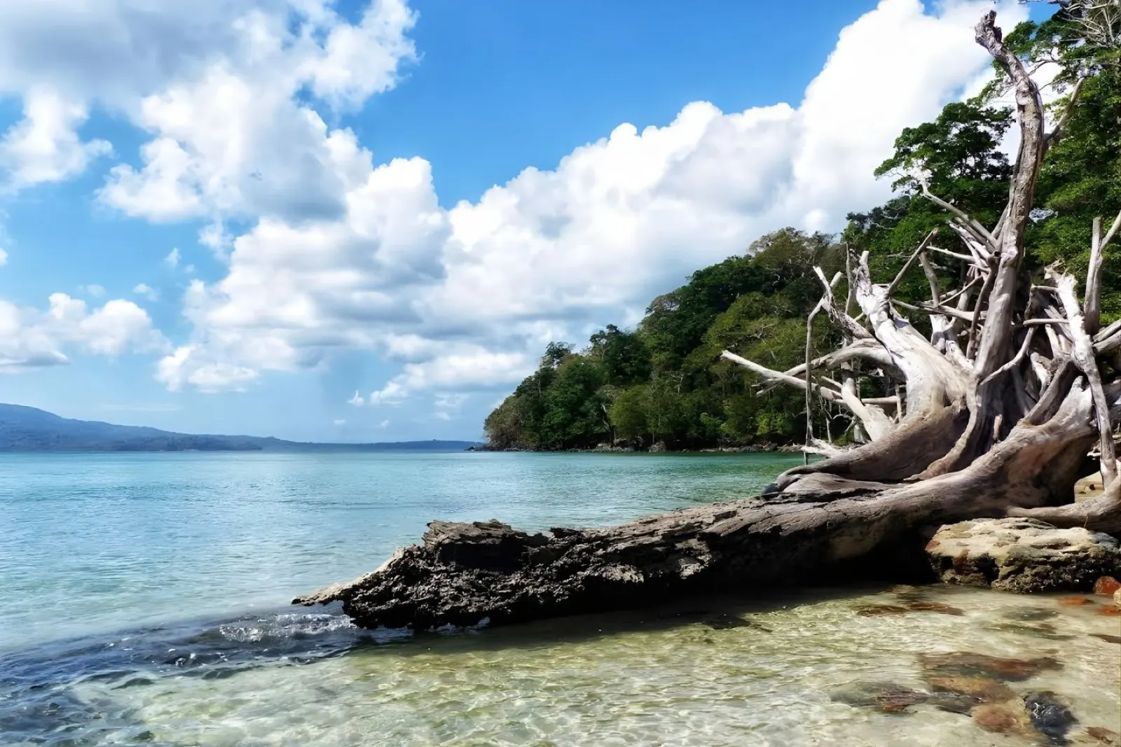 Chidiya Tapu Sunset Trip from Port Blair: Complete Guide